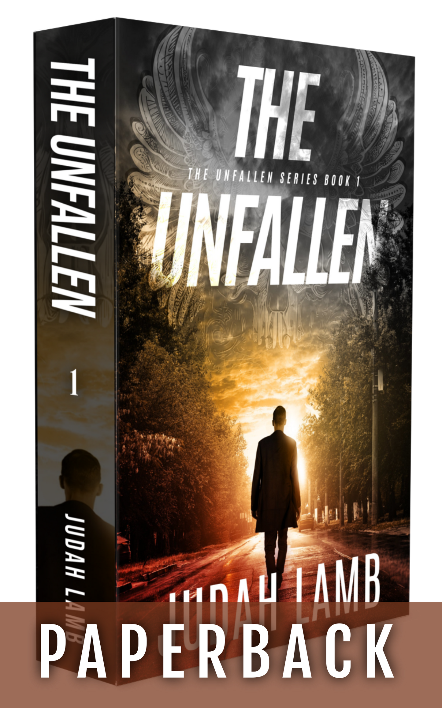 The Unfallen (The Unfallen Series #1) Paperback