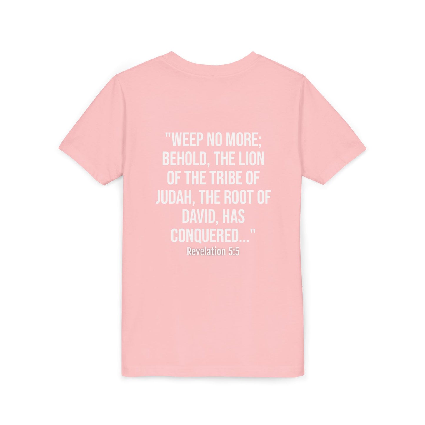 Youth Christian Lion Tee, Faith T-Shirt, Inspirational Kids Shirt, Religious Gift, Bible Verse Apparel