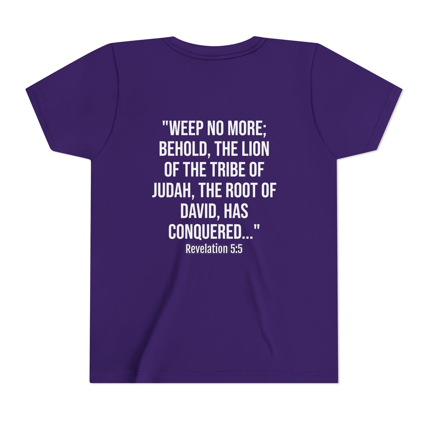 Youth Christian Lion Tee, Faith T-Shirt, Inspirational Kids Shirt, Religious Gift, Bible Verse Apparel