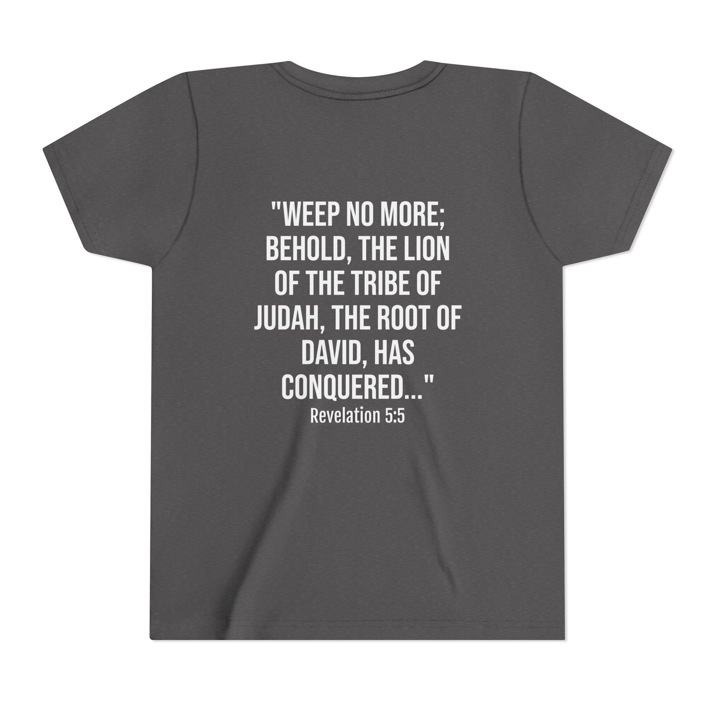 Youth Christian Lion Tee, Faith T-Shirt, Inspirational Kids Shirt, Religious Gift, Bible Verse Apparel