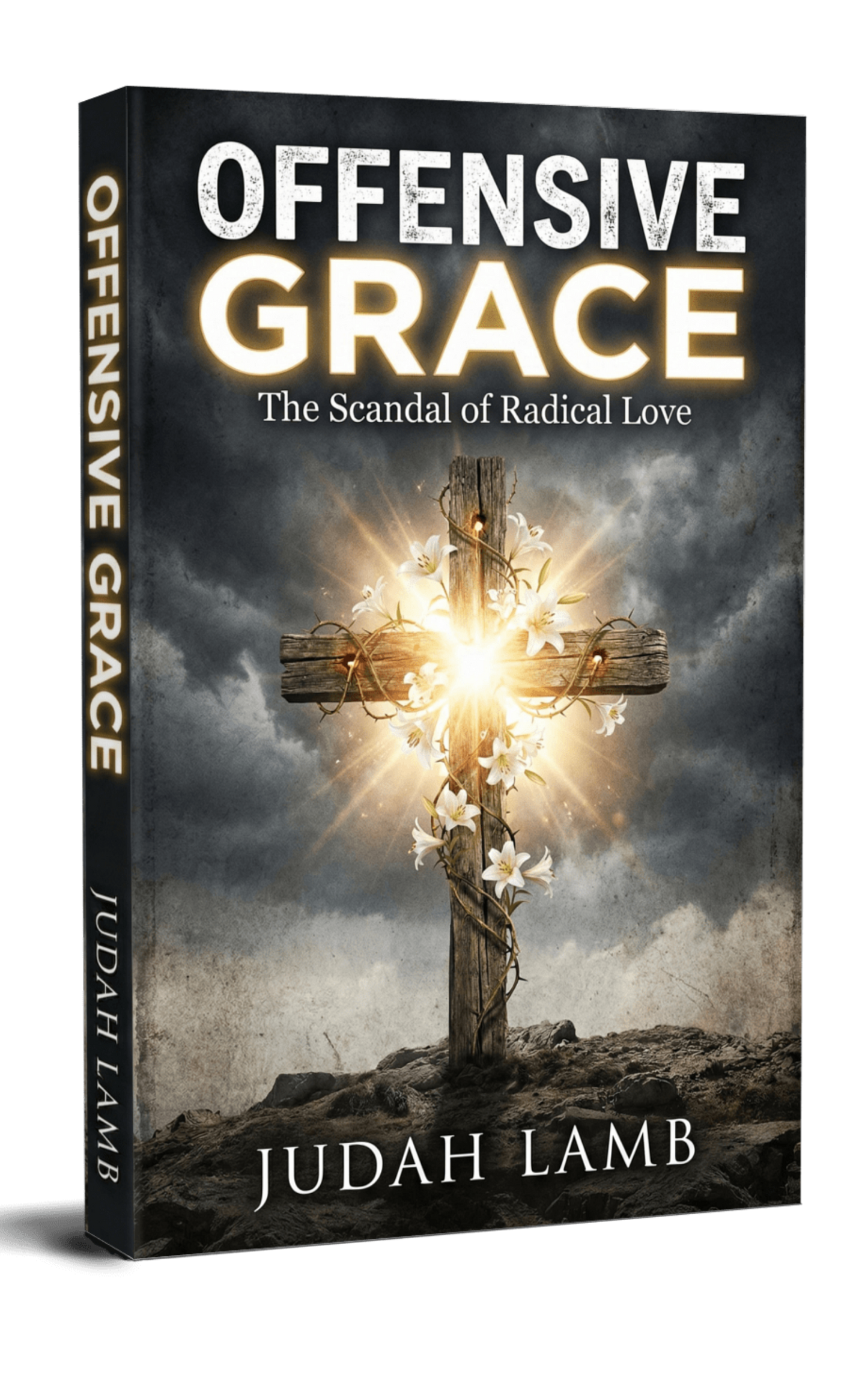 Offensive Grace: The Scandal of Radical Love [PAPERBACK]